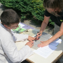 Pierścień św. Kingi 2008